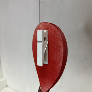 Palloncino portafoto