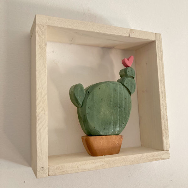 Cactus quadrato - immagine 3