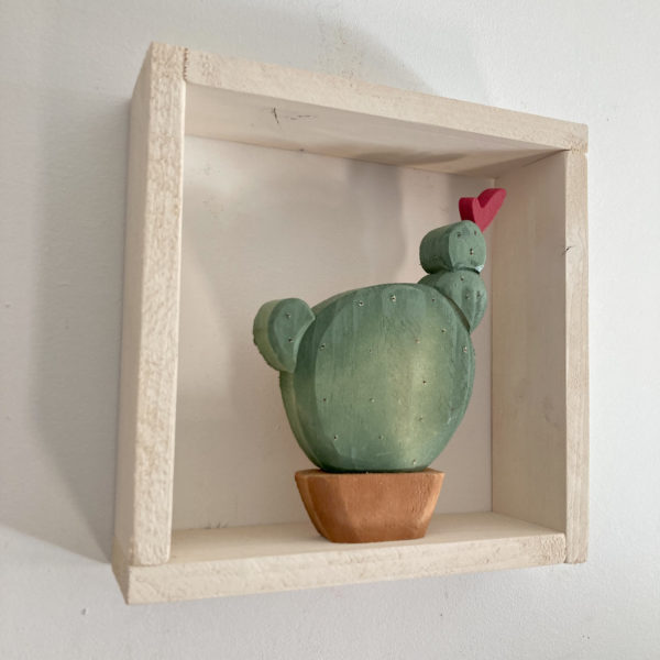Cactus quadrato - immagine 2