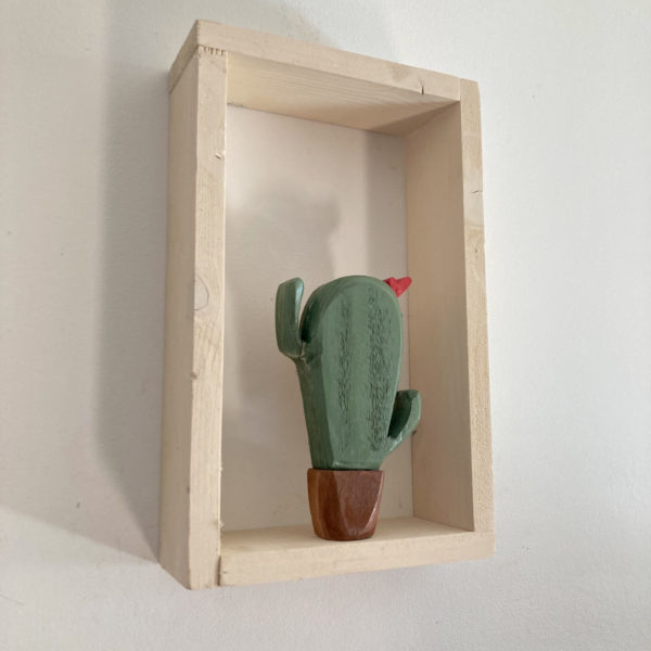 Cactus rettangolare - immagine 3
