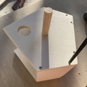 Casetta per uccelli in kit