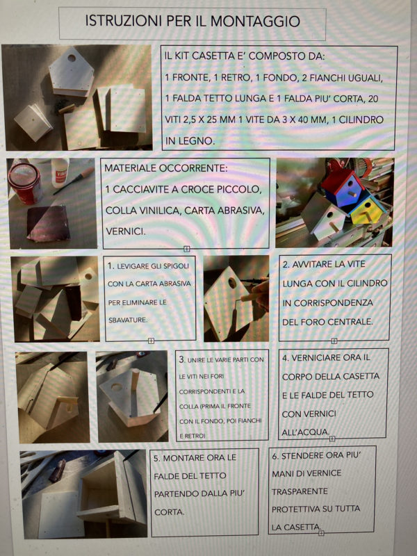 Casetta per uccelli in kit - immagine 7